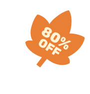 80% OFF