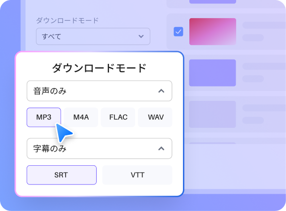 音声・字幕だけ保存の画面