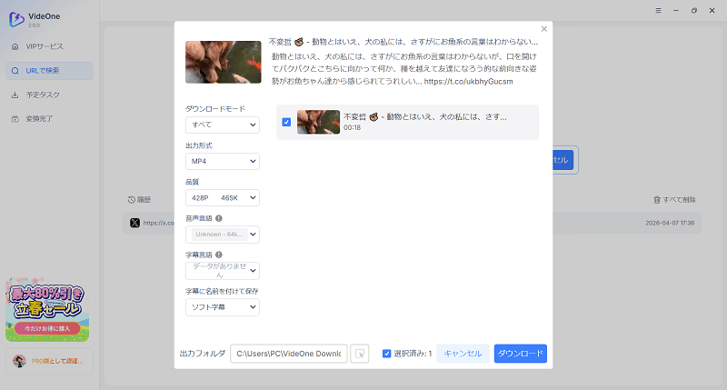 ビデオの出力設定